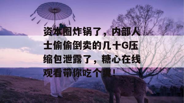 资本圈炸锅了，内部人士偷偷倒卖的几十G压缩包泄露了，糖心在线观看带你吃个爽！